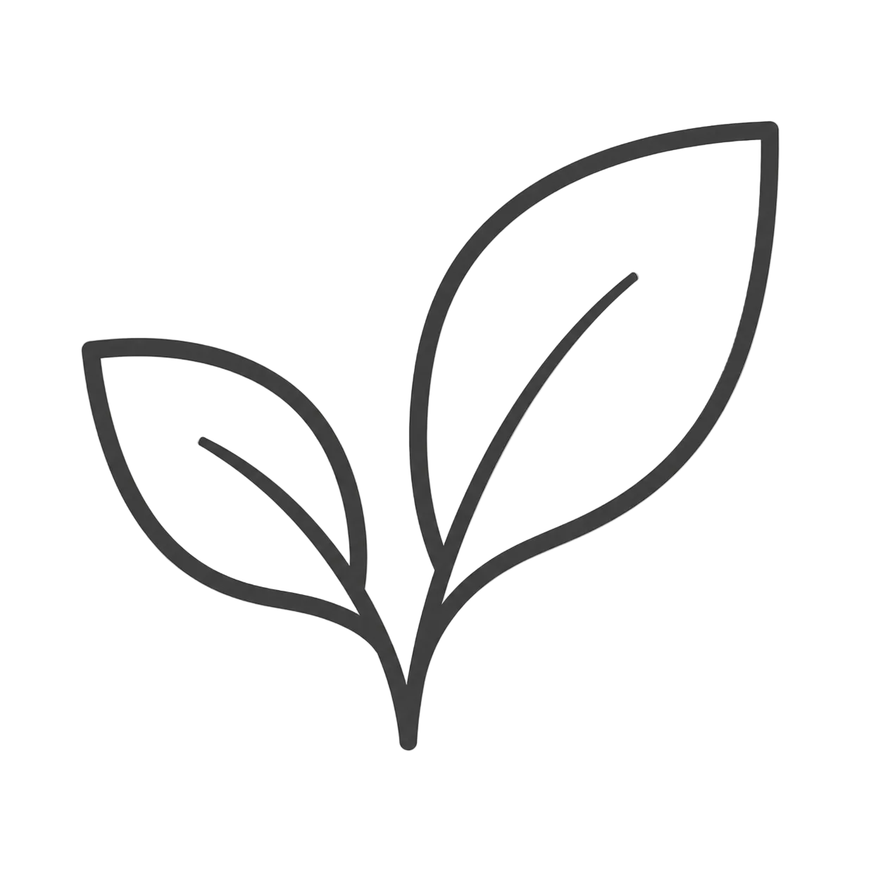 Simple black line drawing of a leaf on a light gray background